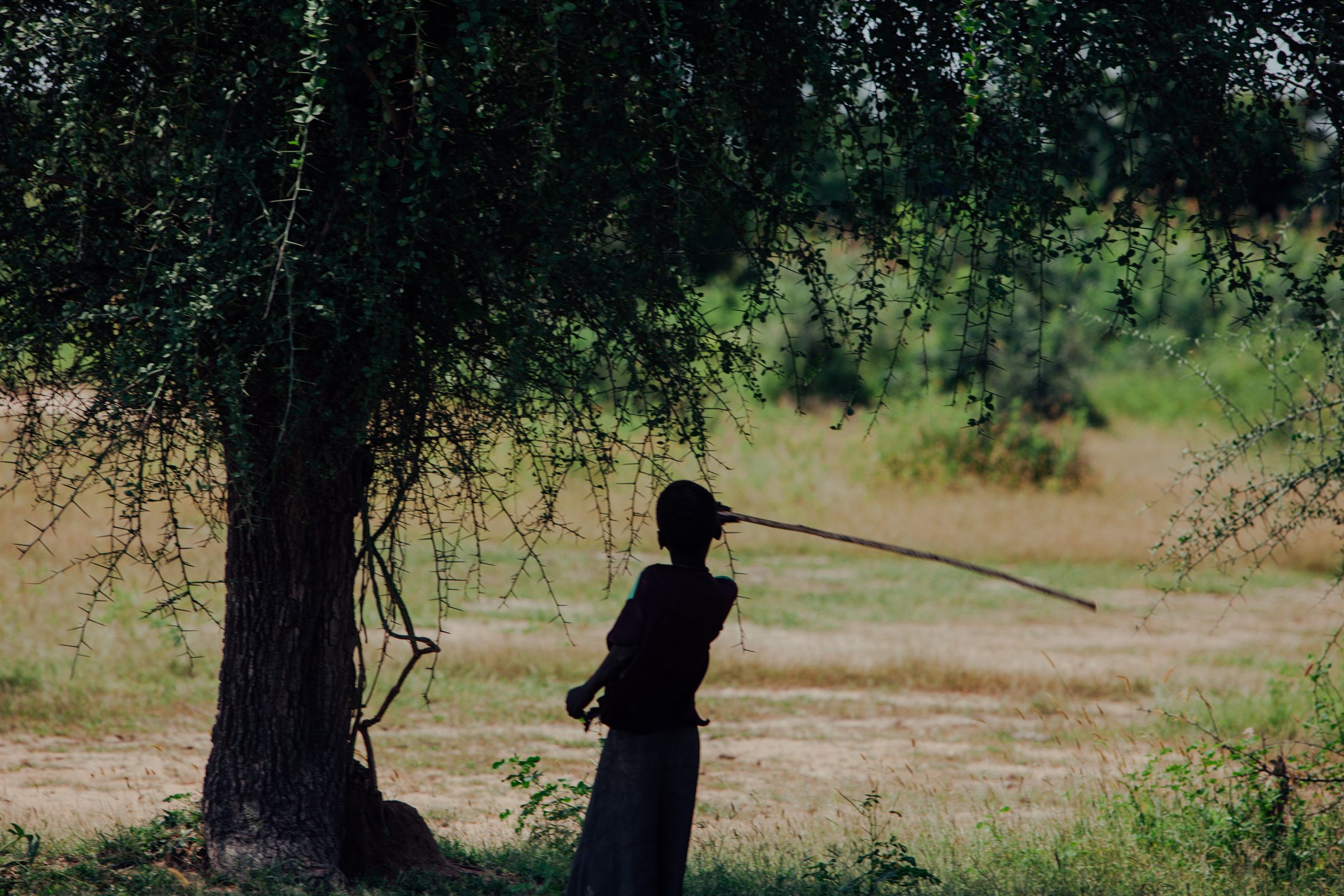 A figure carrying a long staff beneath a large tree